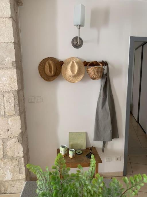 Le Provencal - Hyper Centre - Wifi Apartment อาวีญง ภายนอก รูปภาพ